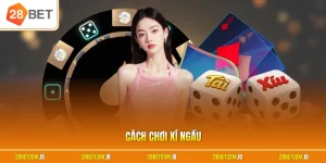 Cách chơi xí ngầu