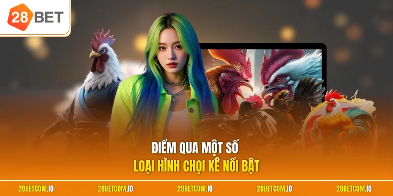 Đá gà 28BET 2 Điểm qua một số loại hình chọi kê nổi bật