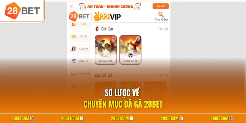 Đá gà 28BET 1 Sơ lược về chuyên mục đá gà 28BET
